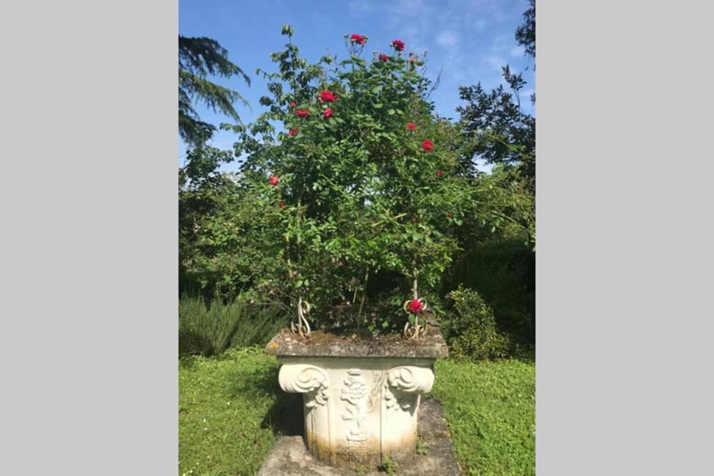Casa La Torre Un Castello Alle Porte Di Firenze Buitenkant foto